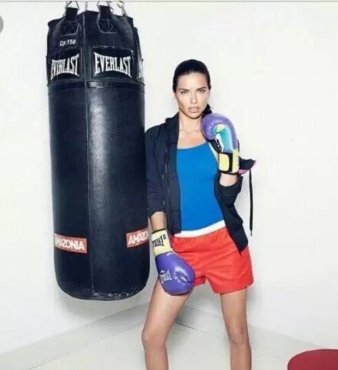 schiek健身手套_拳擊手套品牌推薦_Everlast拳擊手套價格