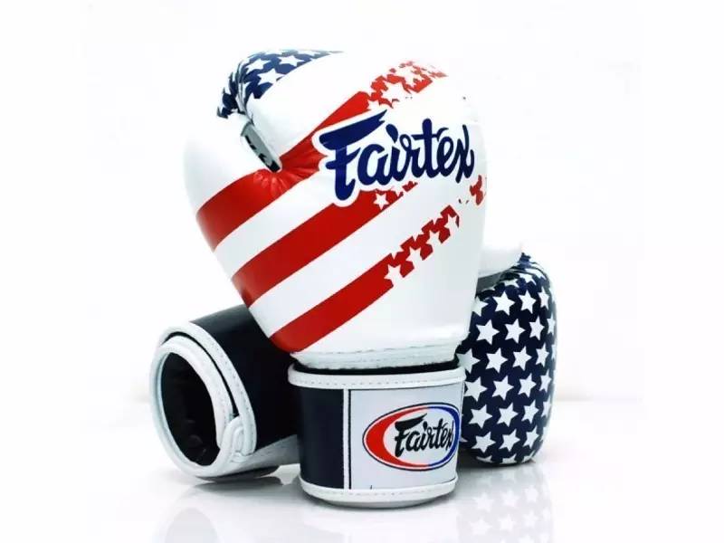 schiek健身手套_拳擊手套品牌推薦_Everlast拳擊手套價格