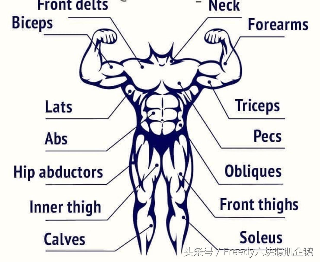 pg電子賞金試玩app 健身無(wú)論1周練幾天，計(jì)劃決定了你的訓(xùn)練效果！自己會(huì)設(shè)計(jì)嗎？