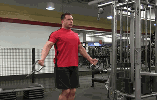 男性胸肌訓練方法_上胸肌訓練動作_健身肌肉分離度怎么提高